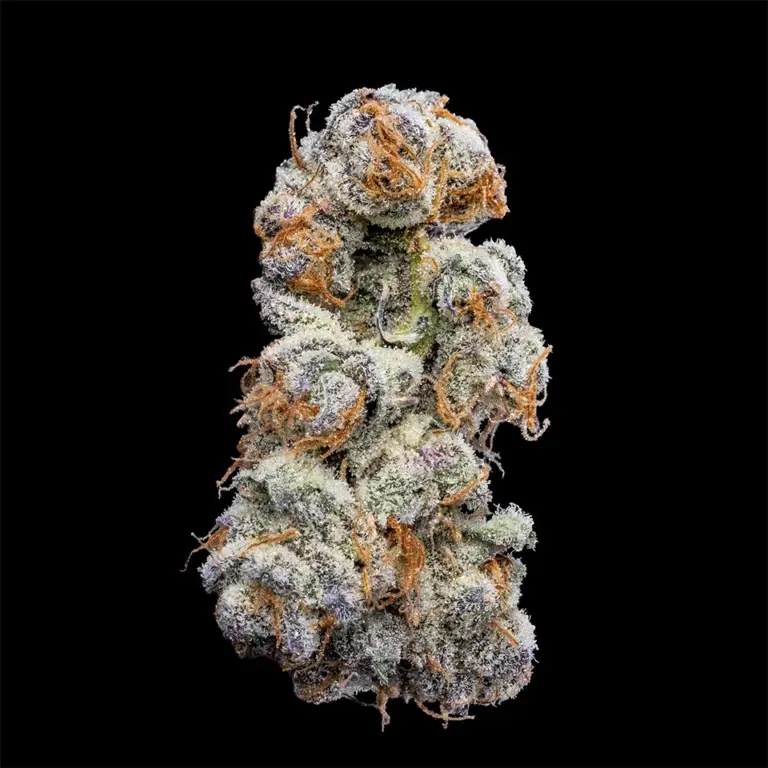 Urban Wellness Our Strains Apple Fritter