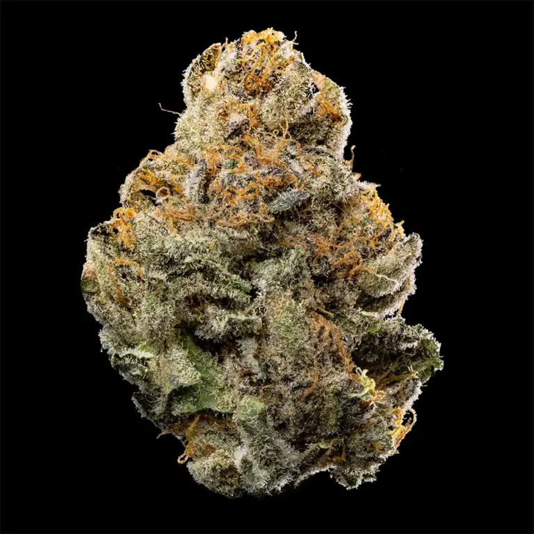Urban Wellness Our Strains Bad Omen