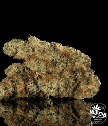 Urban Wellness Our Strains GMO Punch