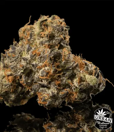 Urban Wellness Our Strains Hash Freak