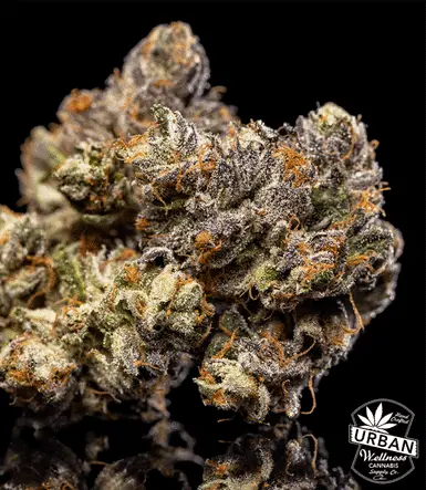 Urban Wellness Our Strains Hippie Crasher