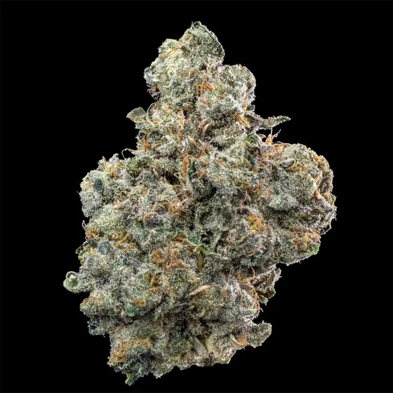 Urban Wellness Our Strains Ice Cold