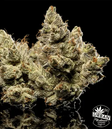 Urban Wellness Our Strains Out Of Order