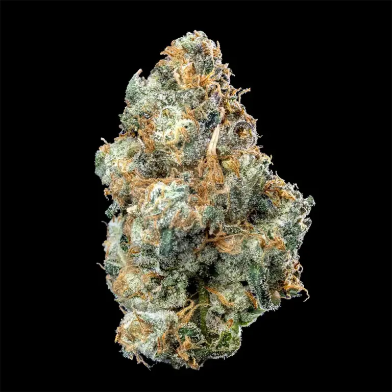 Urban Wellness Our Strains Papa Don