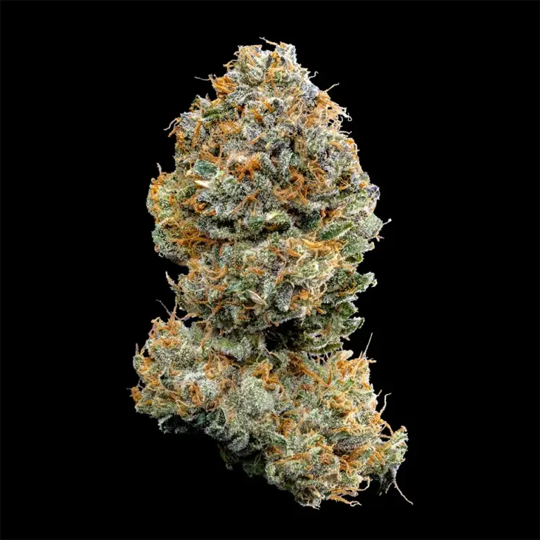 Urban Wellness Our Strains Watermelon Rush